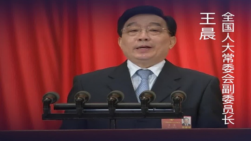 王晨：切实保障香港居民合法权益
