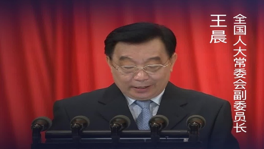 王晨：坚持和完善“一国两制”制度体系